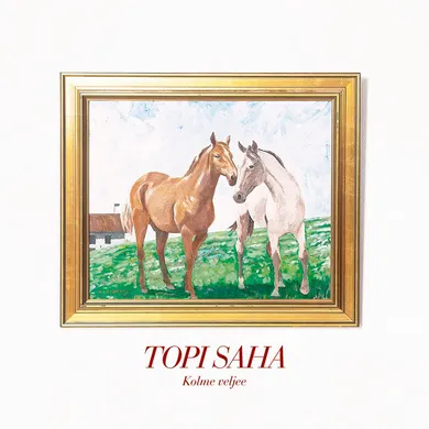 Topi Saha Kolme veljee Vinyl Record