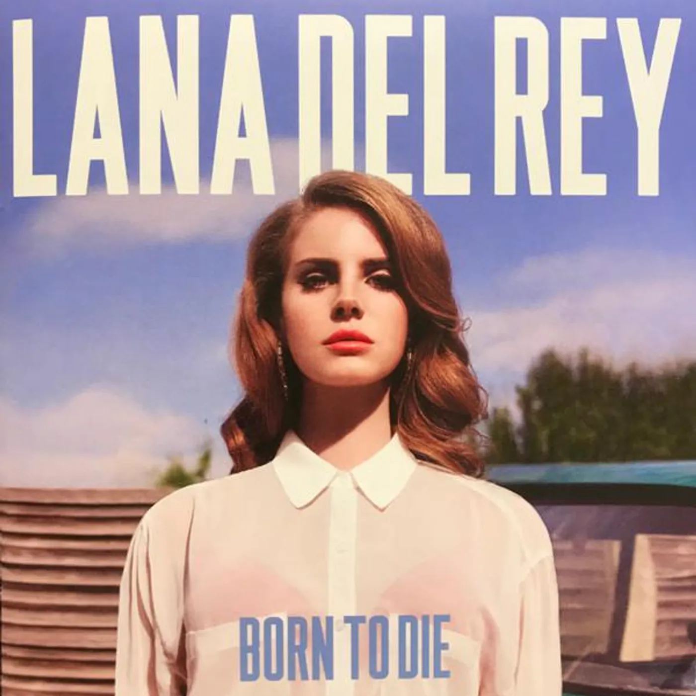 Lana Del Rey BORN TO DIE Vinyl Record