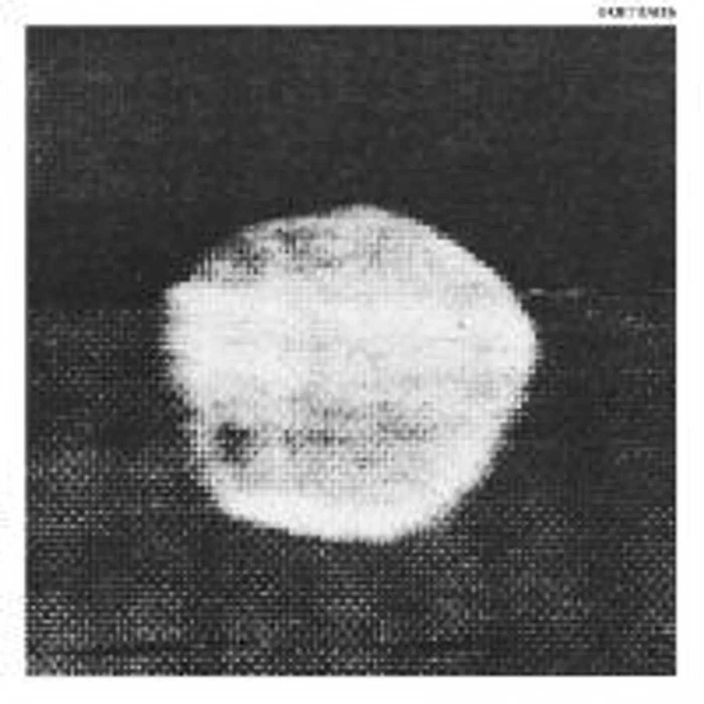 Portraits Vinyl Record