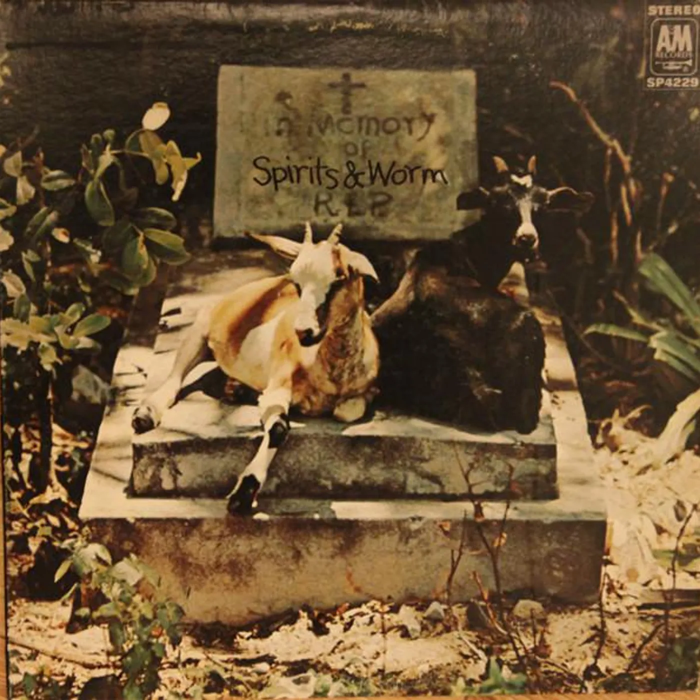 Spirits & Worm Spirits And Worm Vinyl Record