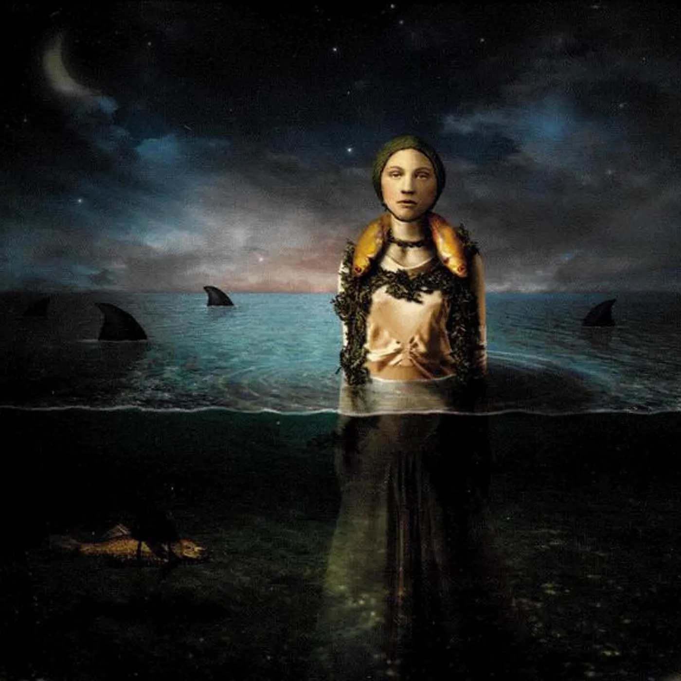 The Bled Found in the Flood Vinyl Record