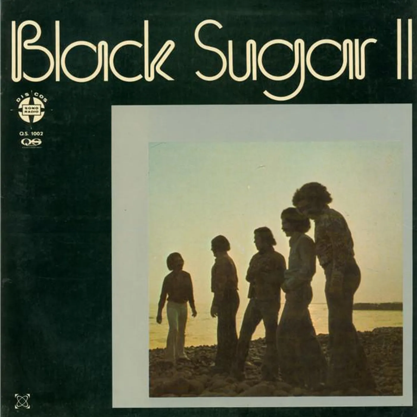 BLACK SUGAR II Vinyl Record