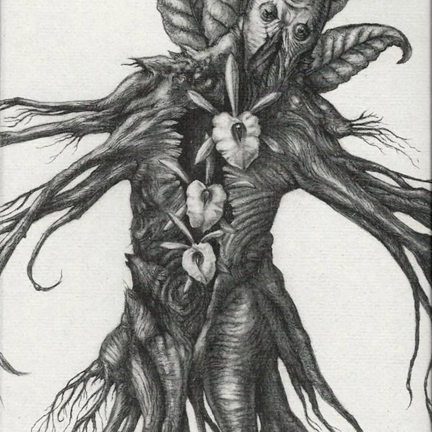 Botanist IV: MANDRAGORA Vinyl Record - Canada Release