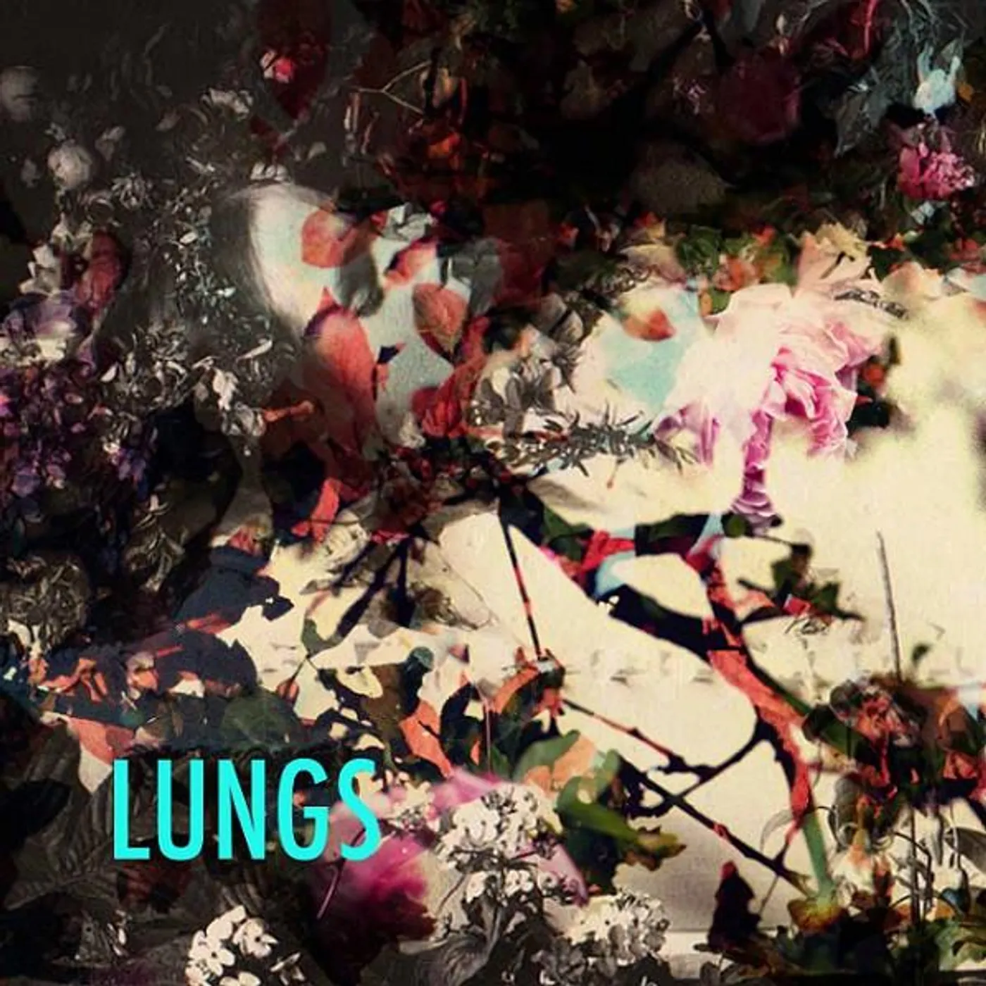 Lungs NOT MINE Vinyl Record - UK Release