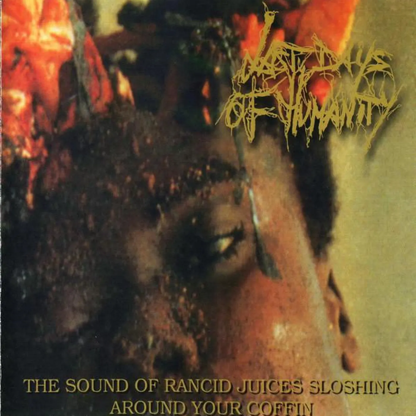 Last Days Of Humanity SOUND OF RANCID JUICES SLOSHING AROUND YOUR COFFIN Vinyl Record