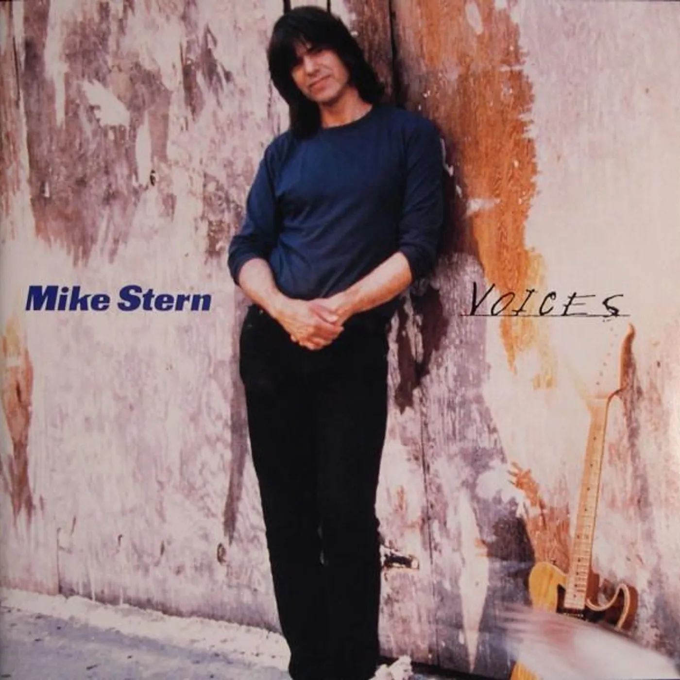 Mike Stern ECHOES & OTHER CD