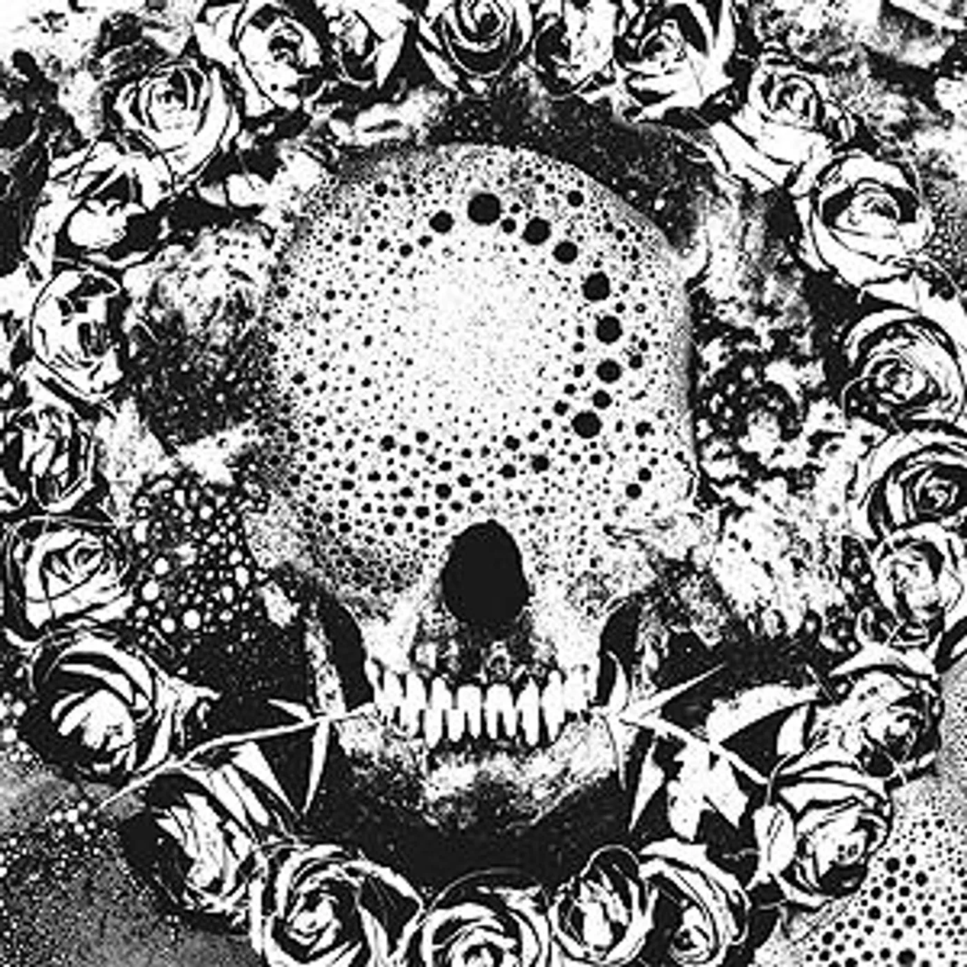 New Lows Abhorrent Endings Vinyl Record