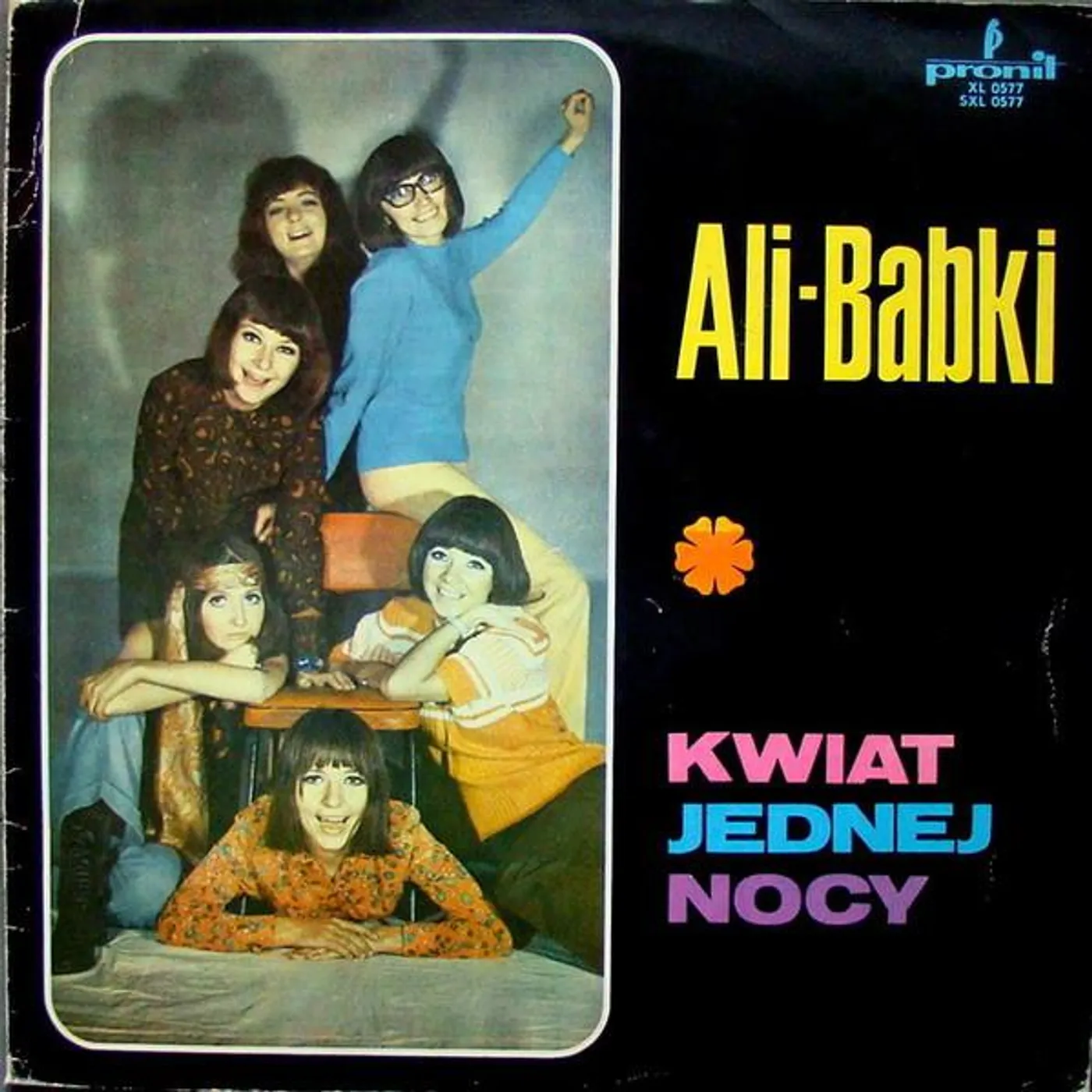 Alibabki Kwiat Jednej Nocy Vinyl Record