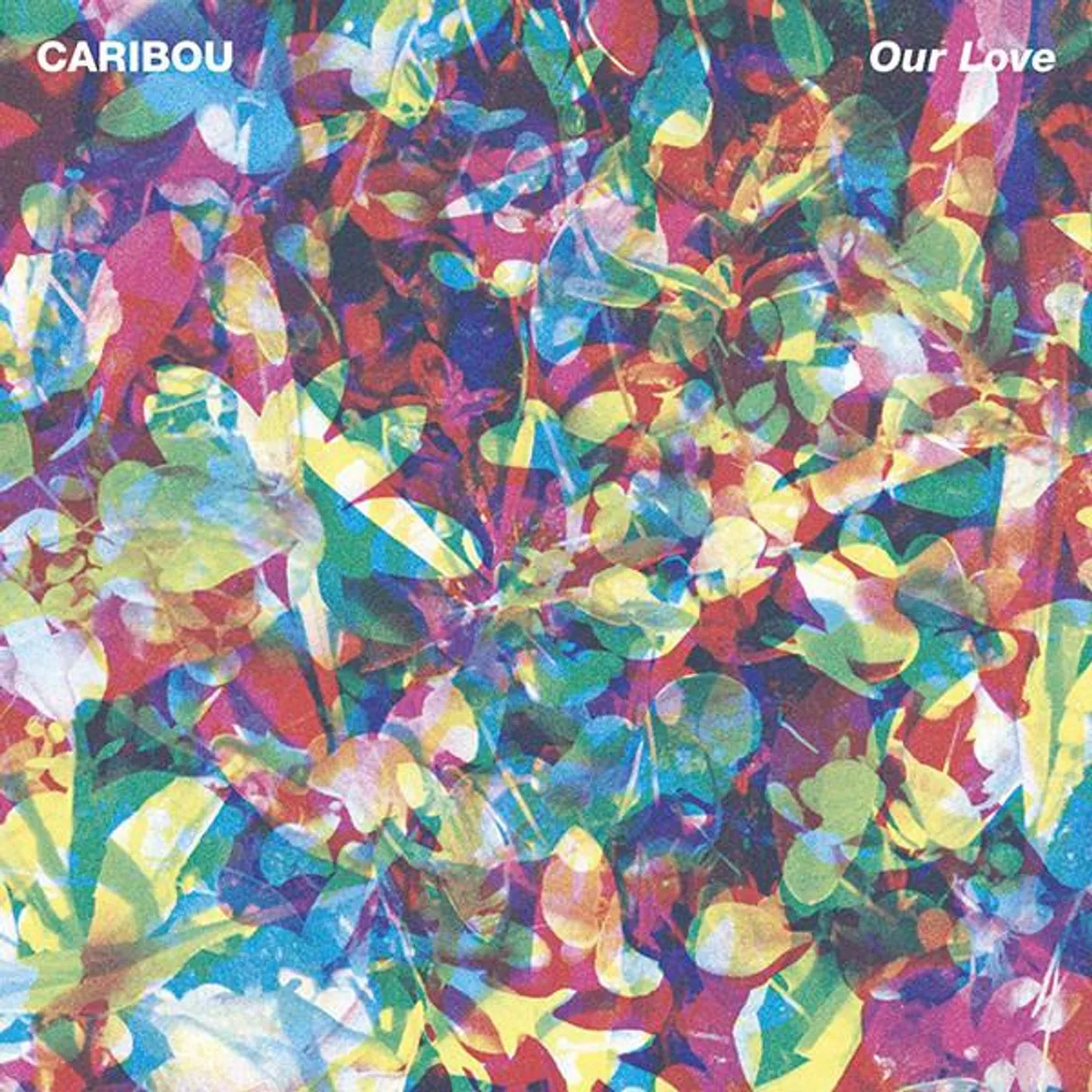 Caribou OUR LOVE (CAN) (Vinyl)