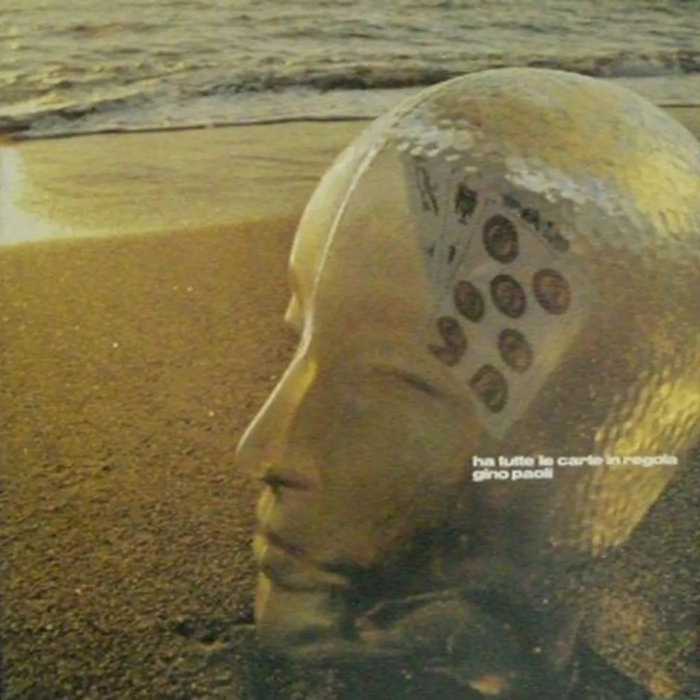 Gino Paoli Ha Tutte Le Carte In Regola Vinyl Record