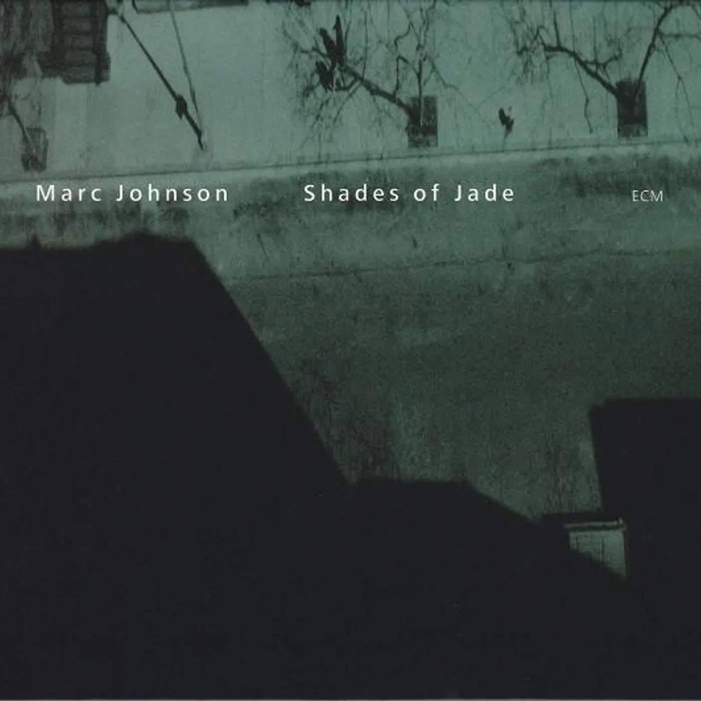 Marc Johnson SHADES OF JADE CD