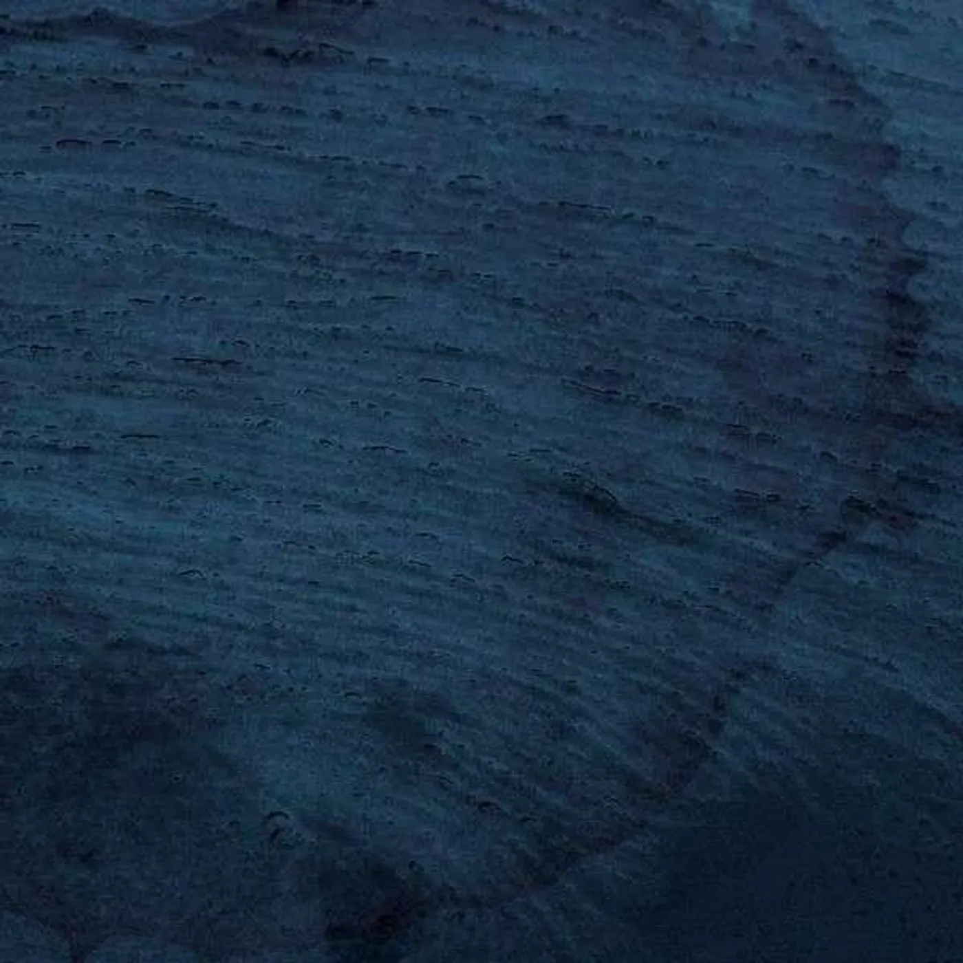 Multicast Dynamics Aquatic System Vinyl Record