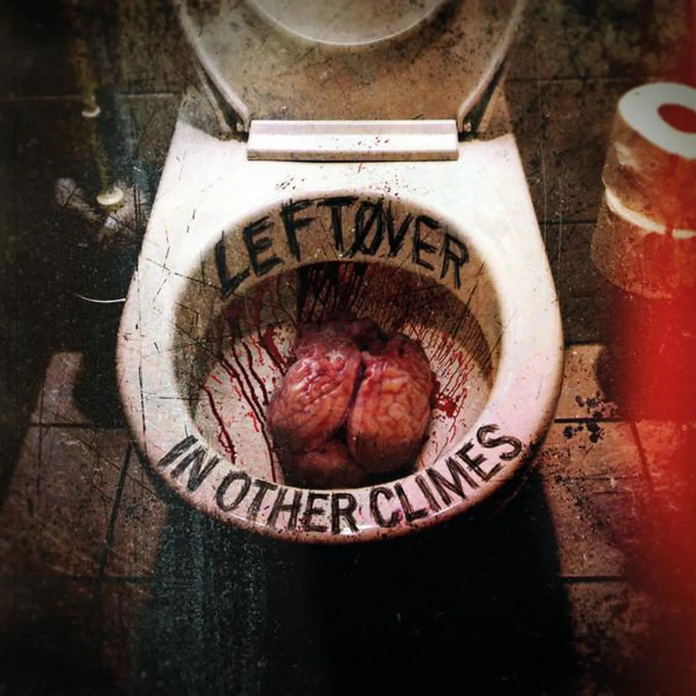 In Other Climes Leftover Vinyl Record