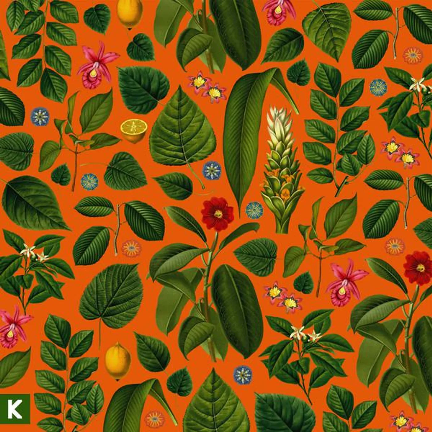 Kings Kaleidoscope Becoming Who We Are Vinyl Record