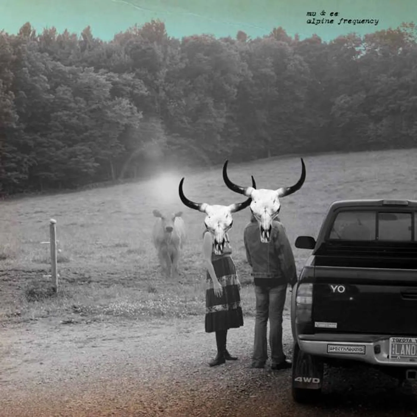 MV & EE ALPINE FREQUENCY (2LP) Vinyl Record