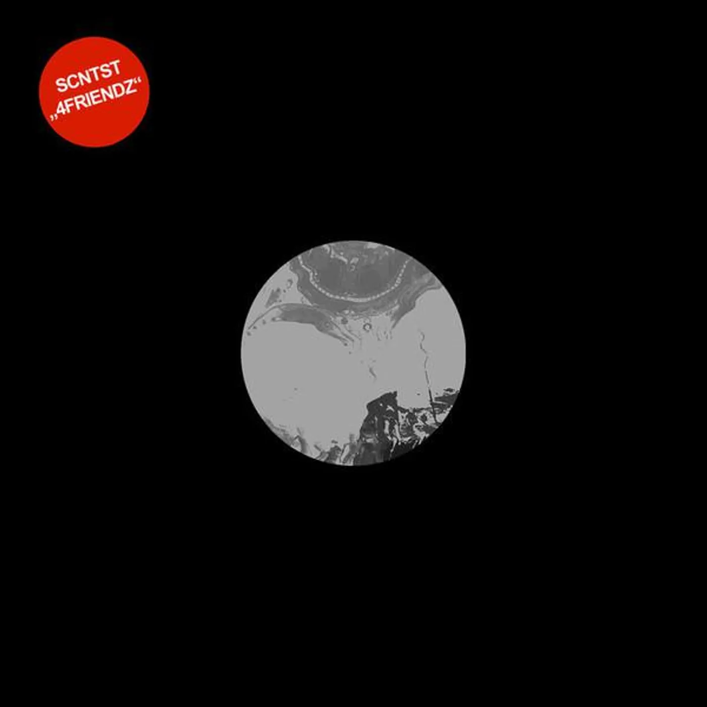 SCNTST 4Friendz Vinyl Record