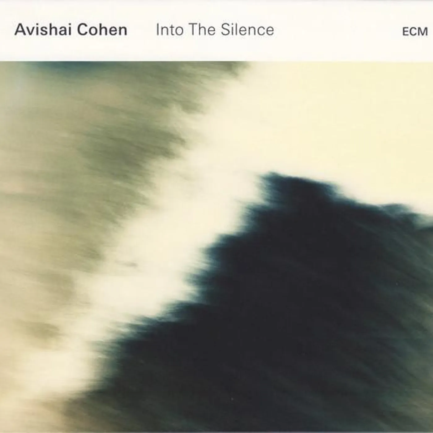 Avishai Cohen INTO THE SILENCE CD