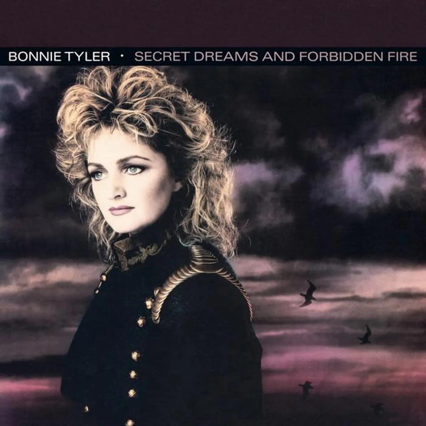 Bonnie Tyler SECRET DREAMS & FORBIDDEN FIRE CD
