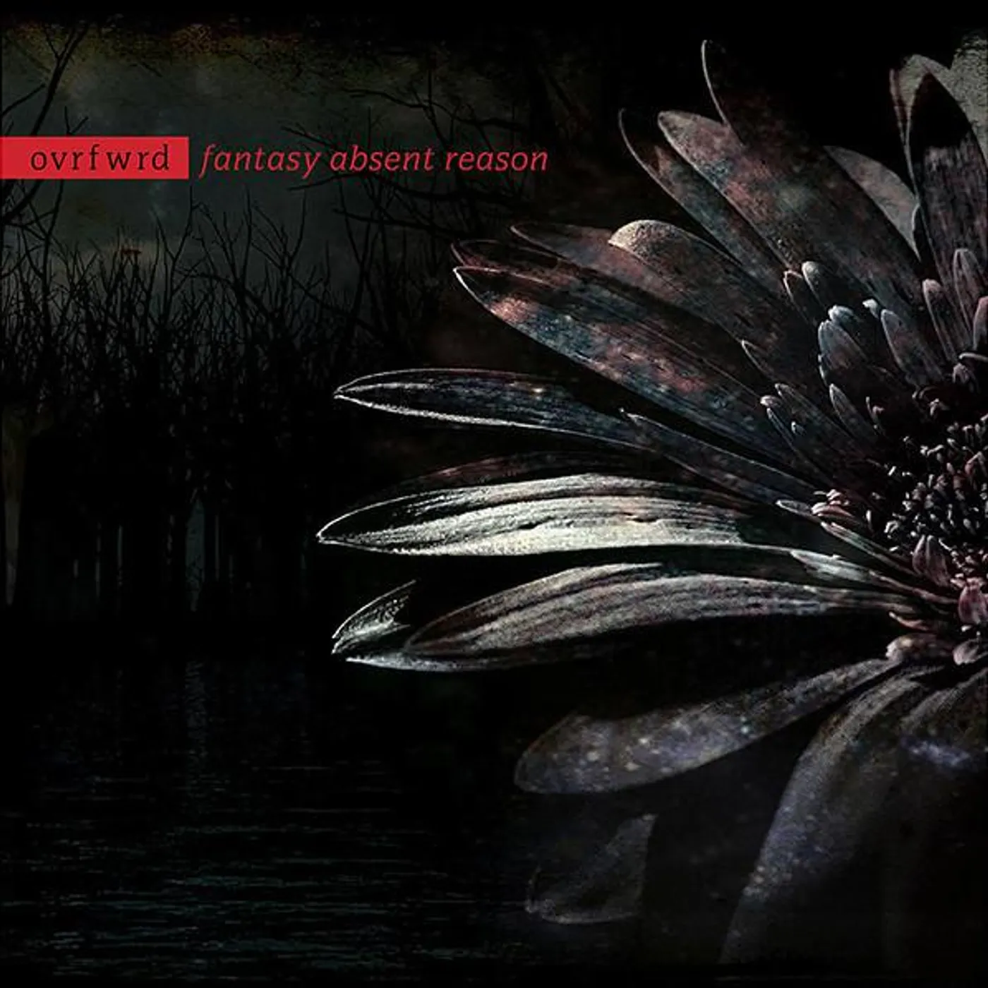Ovrfwrd FANTASY ABSENT REASON CD