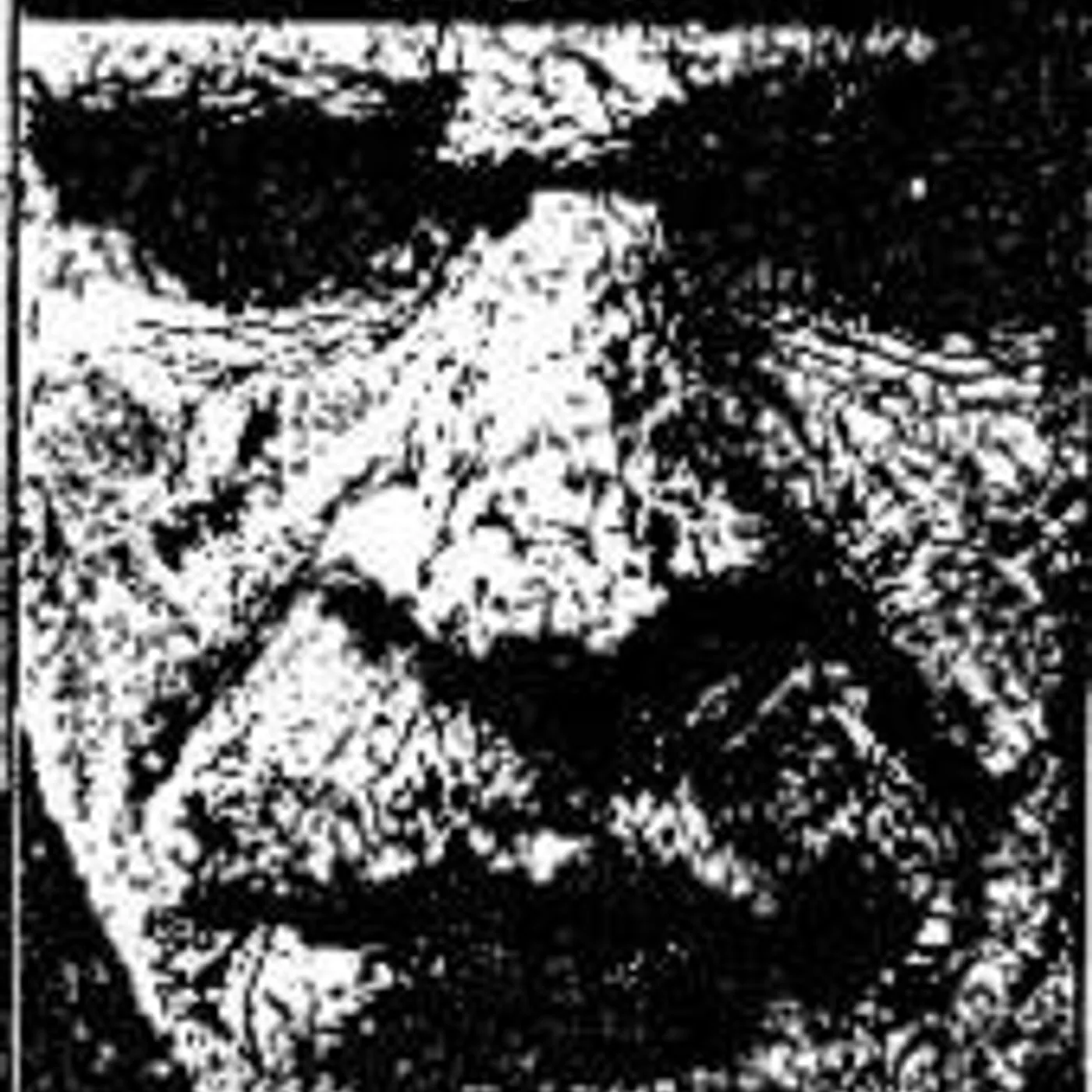 Arpia DE LUSIONI Vinyl Record