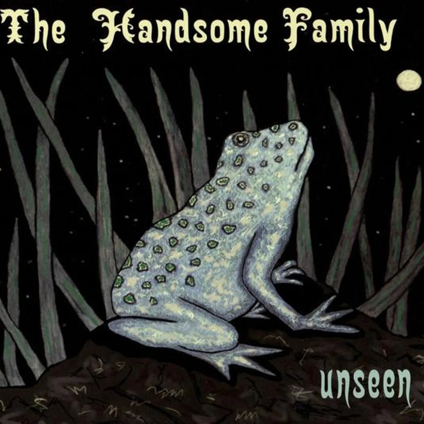 The Handsome Family UNSEEN Vinyl Record