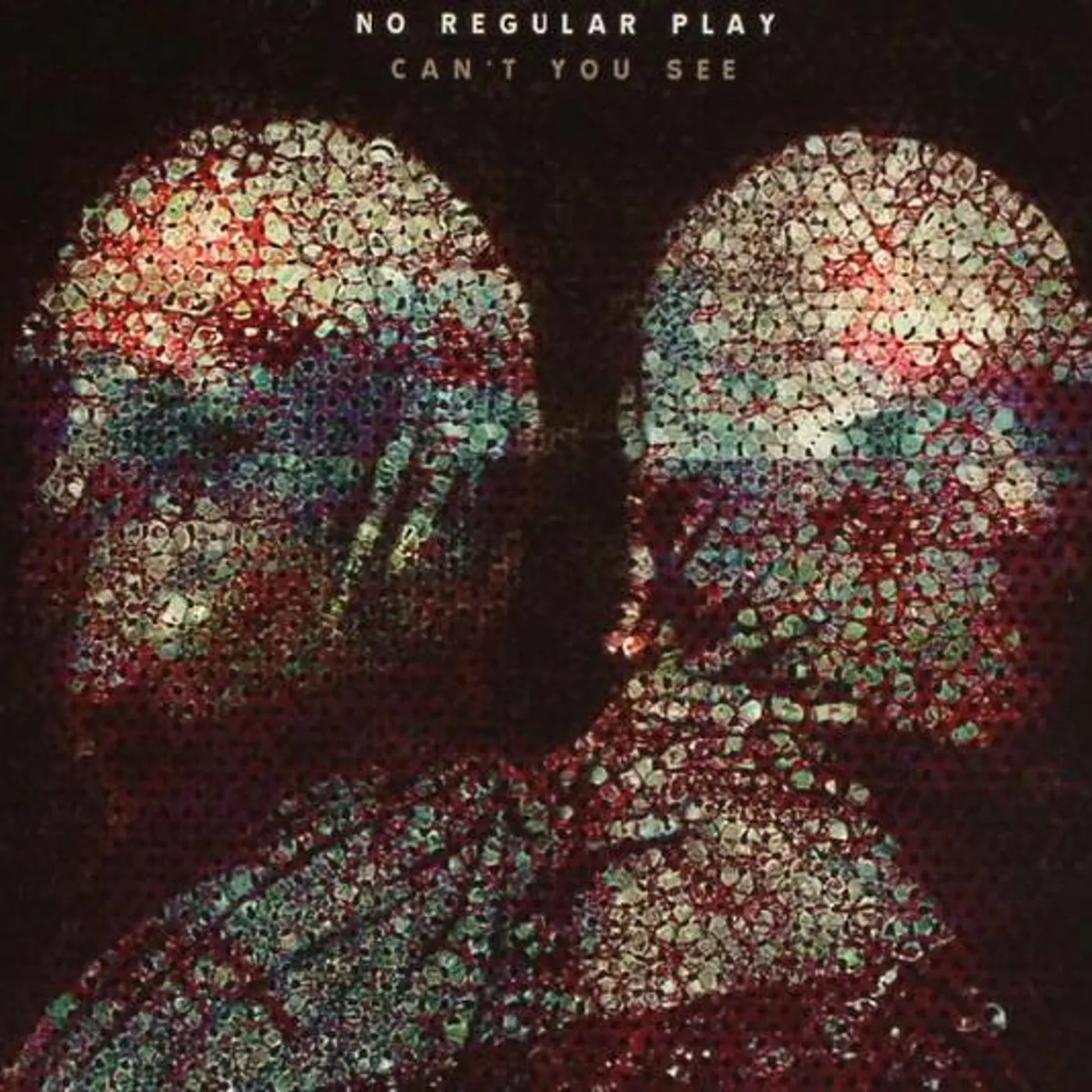 No Regular Play Can't You See Vinyl Record