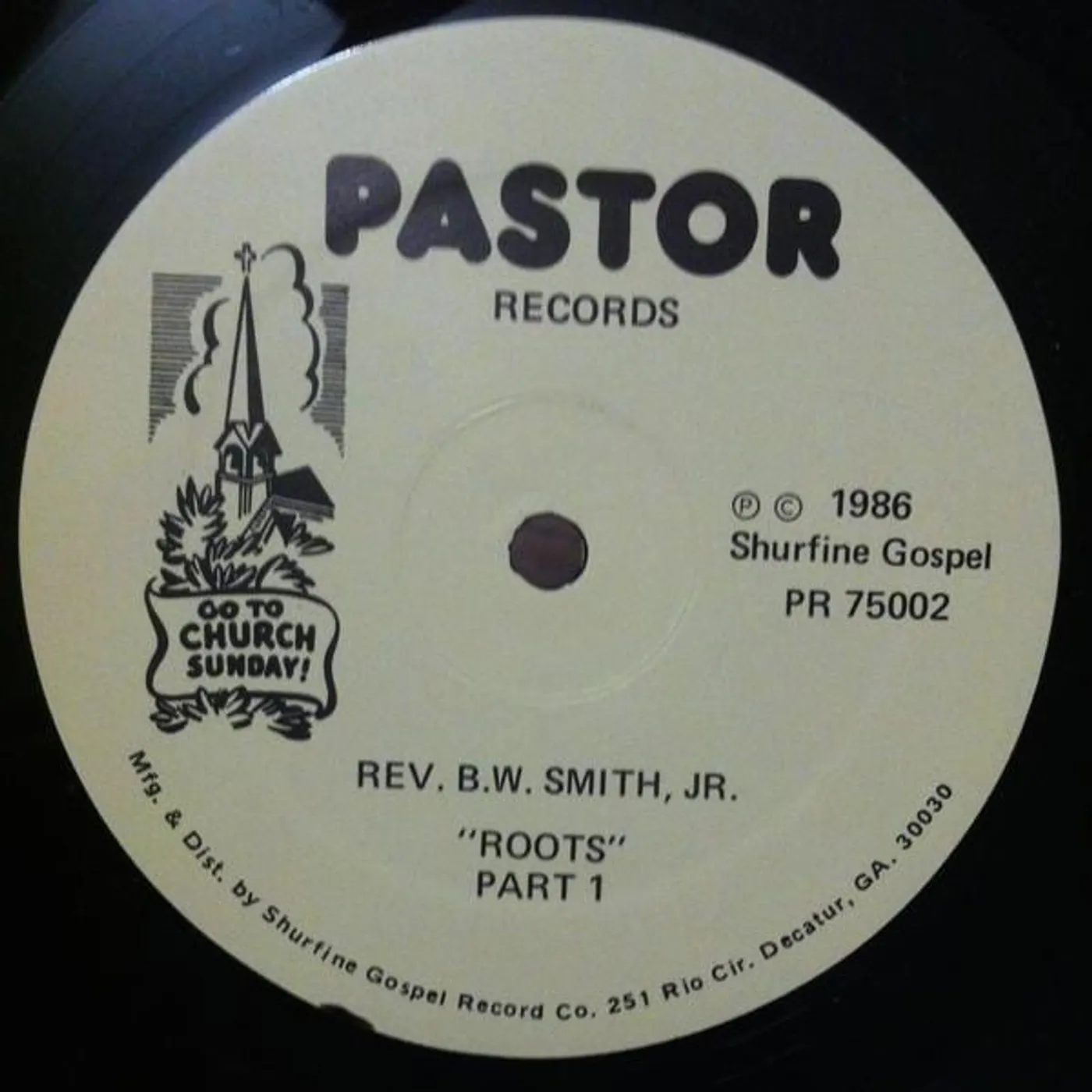 B.W. Smith ROOTS (Vinyl)