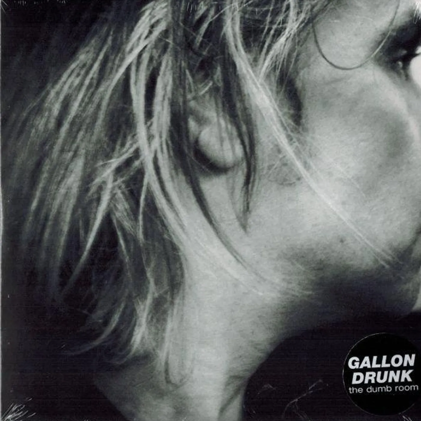 Gallon Drunk Dumb Room Vinyl Record