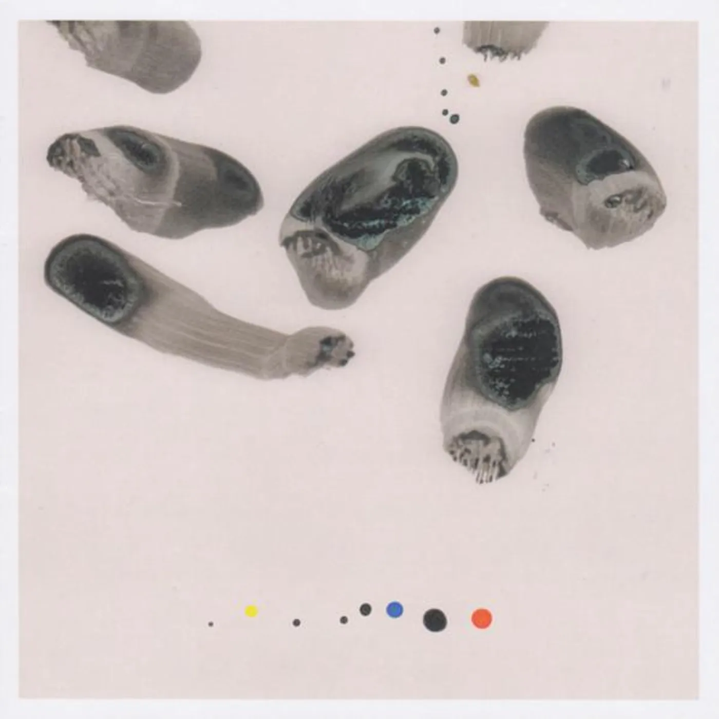 Tall Ships IMPRESSIONS (LIMITED) Vinyl Record