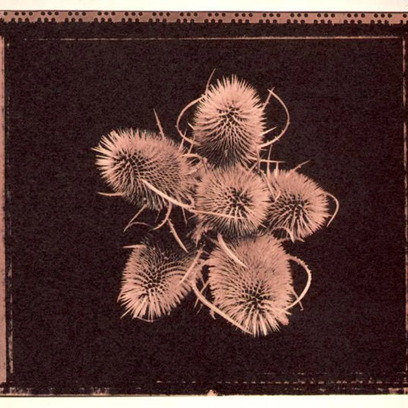 Sophia ARE YOU HAPPY Vinyl Record