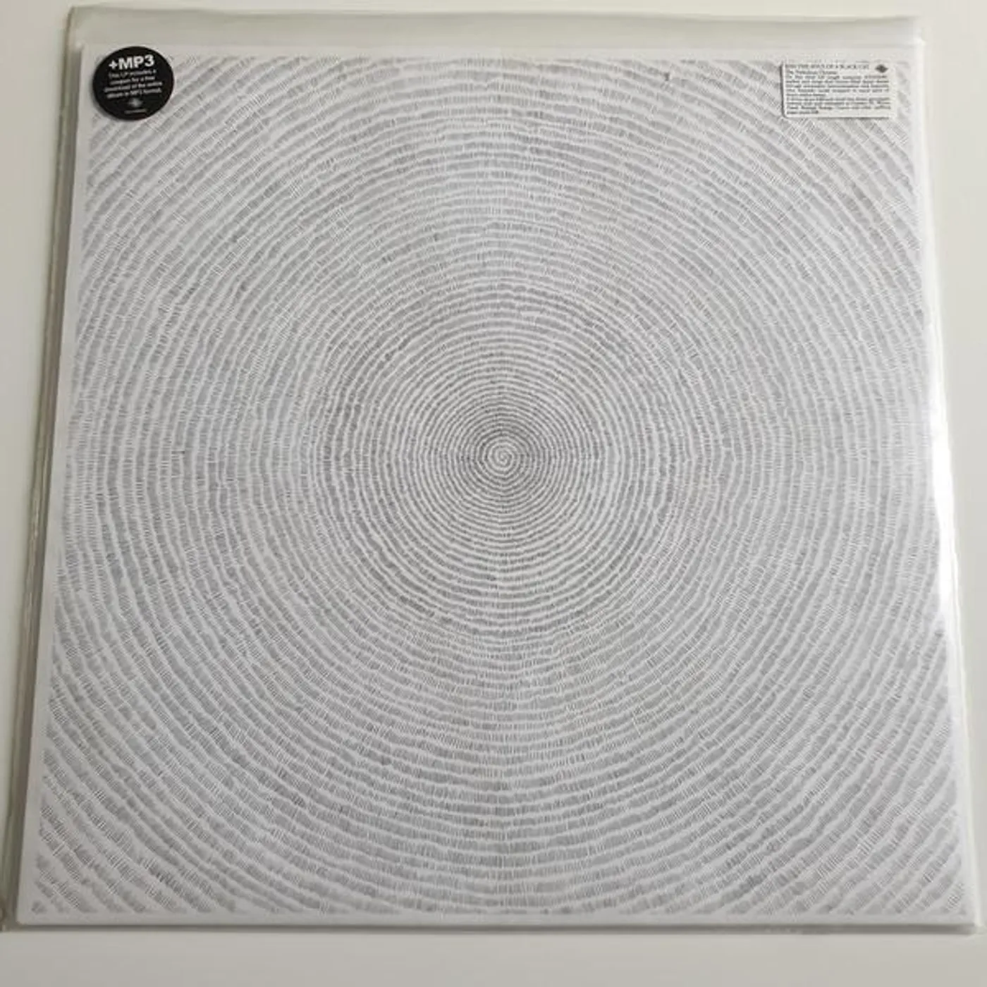 kiss the anus of a black cat NEBULOUS DREAMS (Vinyl)