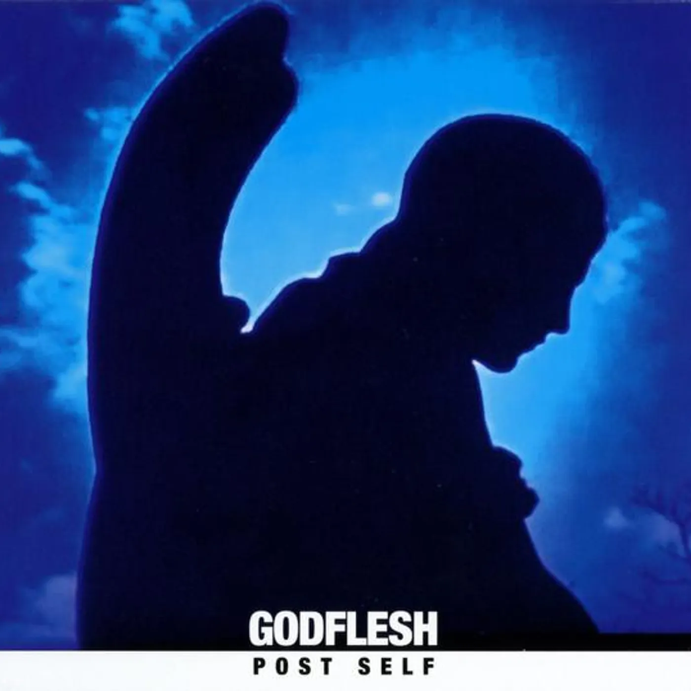 Godflesh Post Self (Transparent Blue) Vinyl Record