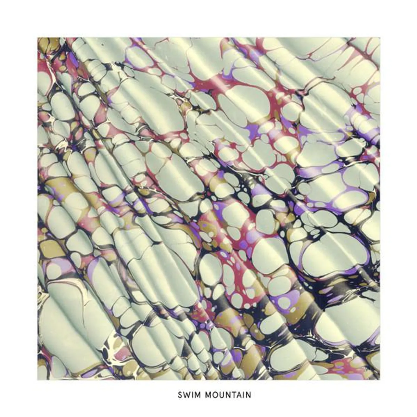 SWIM MOUNTAIN (UK) (Vinyl)