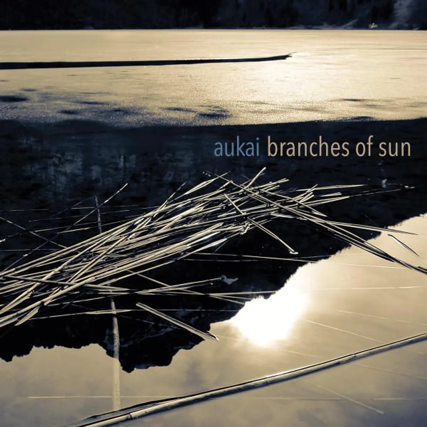 Aukai BRANCHES OF SUN CD