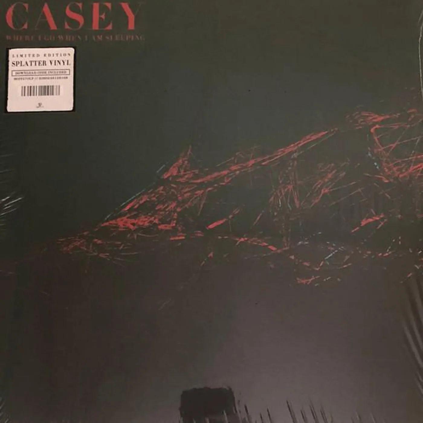 Casey Where I Go When I Am Sleeping Vinyl Record