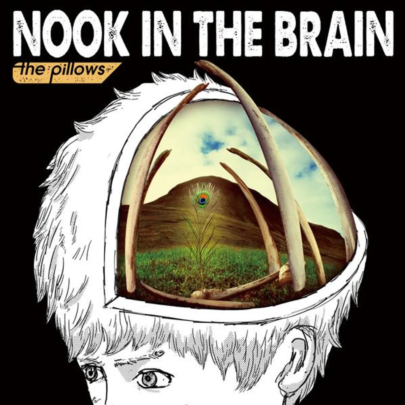 the pillows NOOK IN THE BRAIN CD