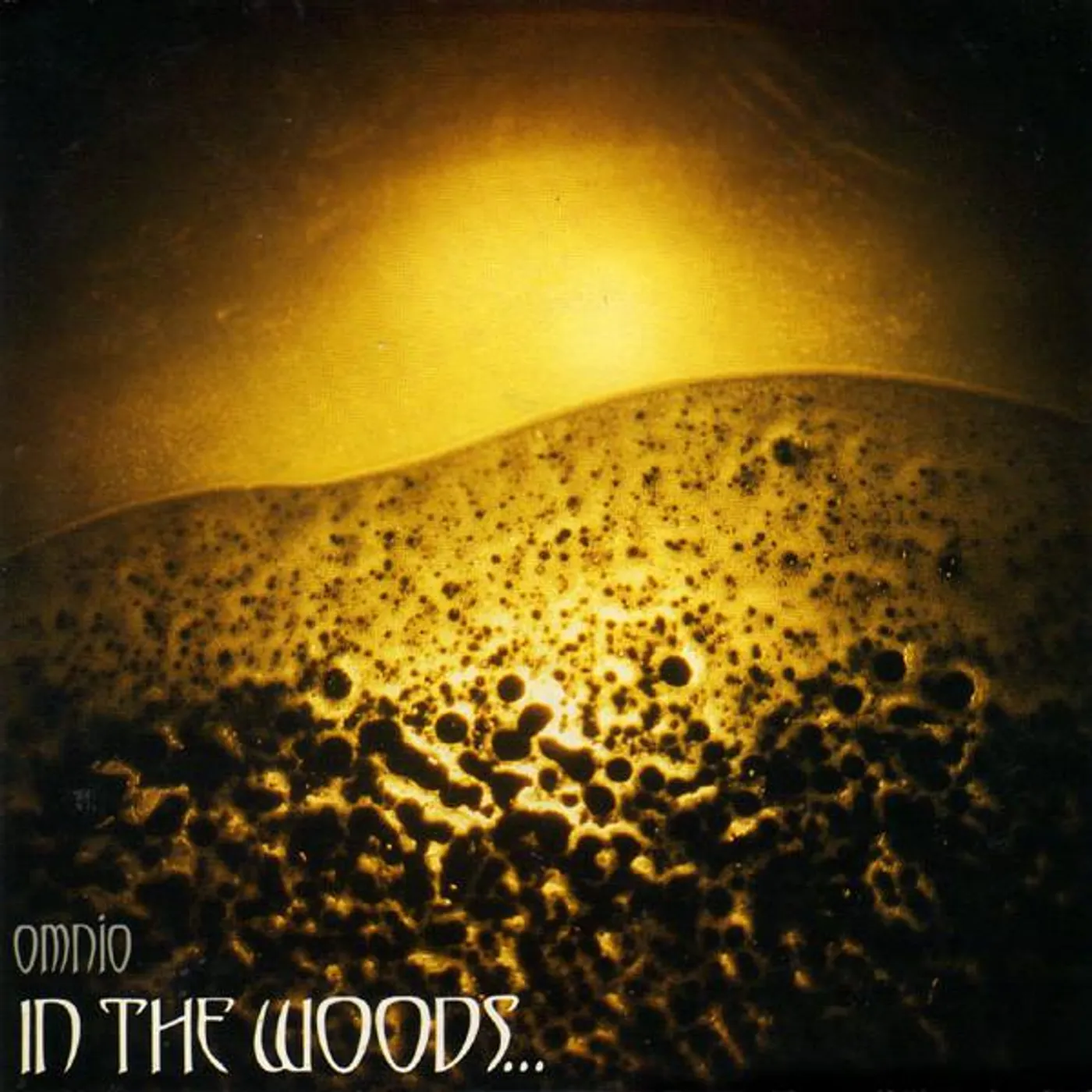 In The Woods... OMNIO (2LP) Vinyl Record