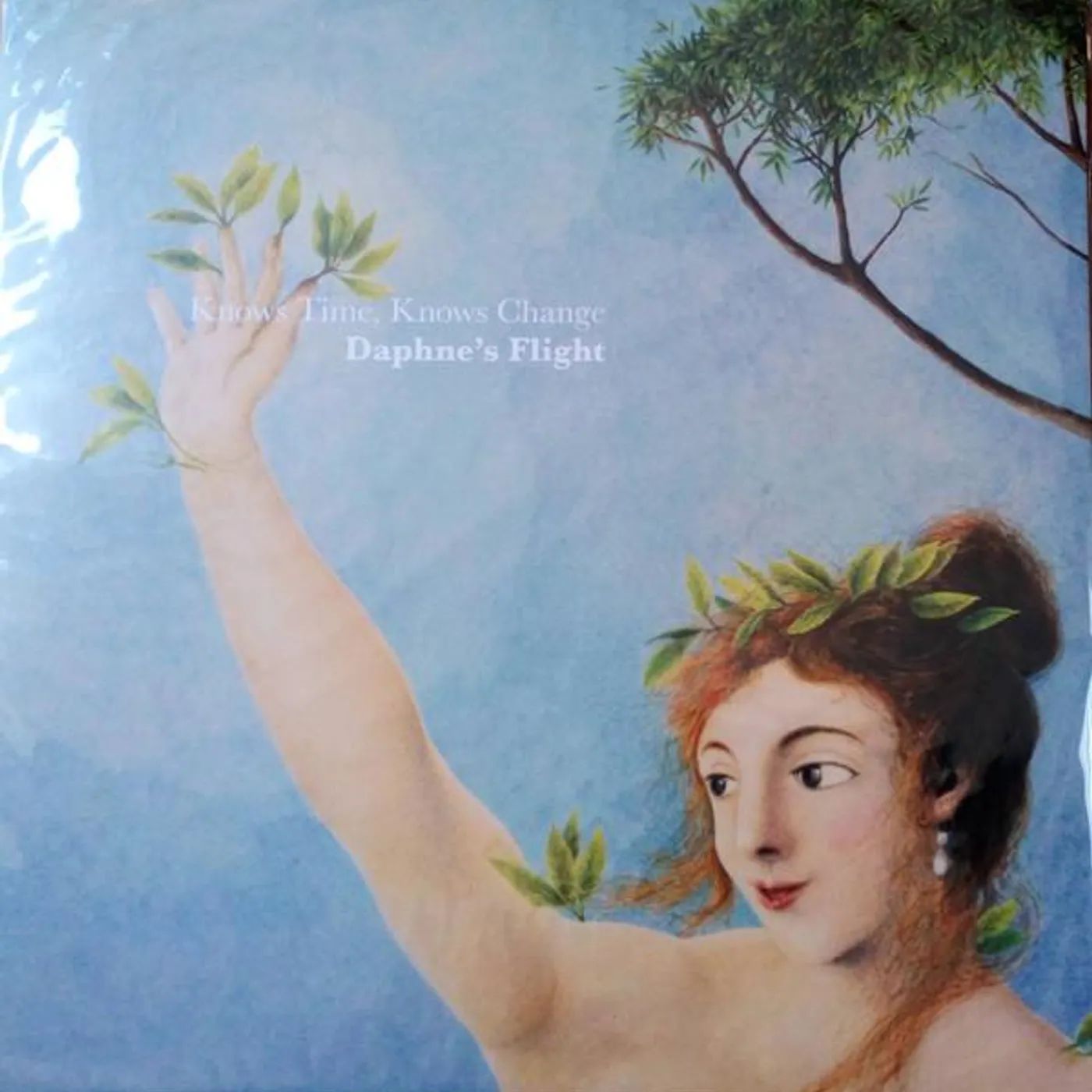 Daphne's Flight Knows Time  Knows Change Vinyl Record
