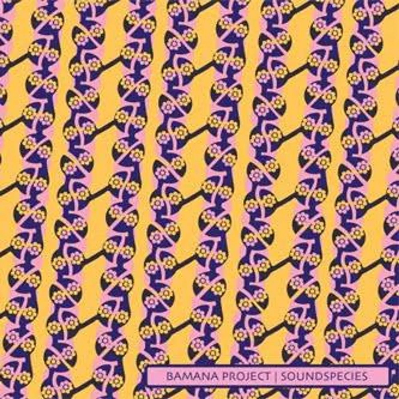 Soundspecies BAMANA PROJECT Vinyl Record - UK Release