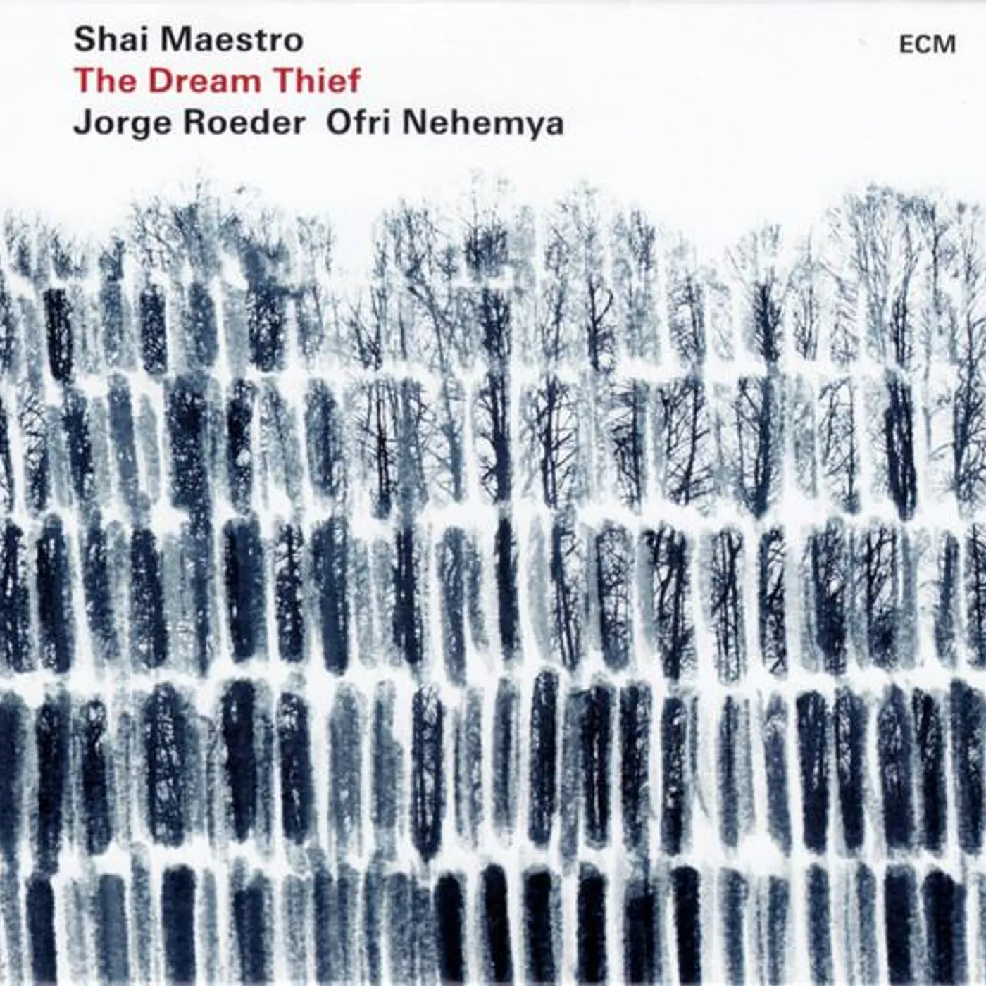 Shai Maestro DREAM THIEF CD