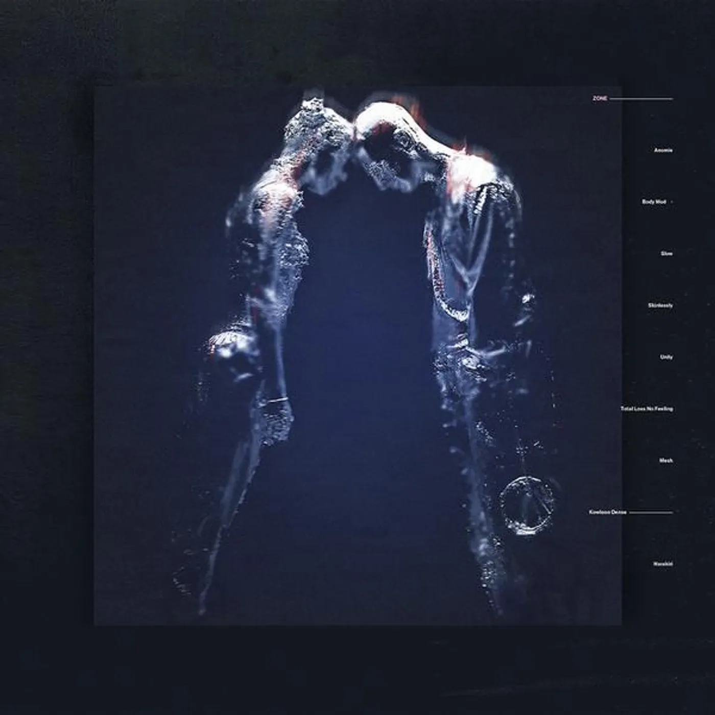 Naked Zone Vinyl Record