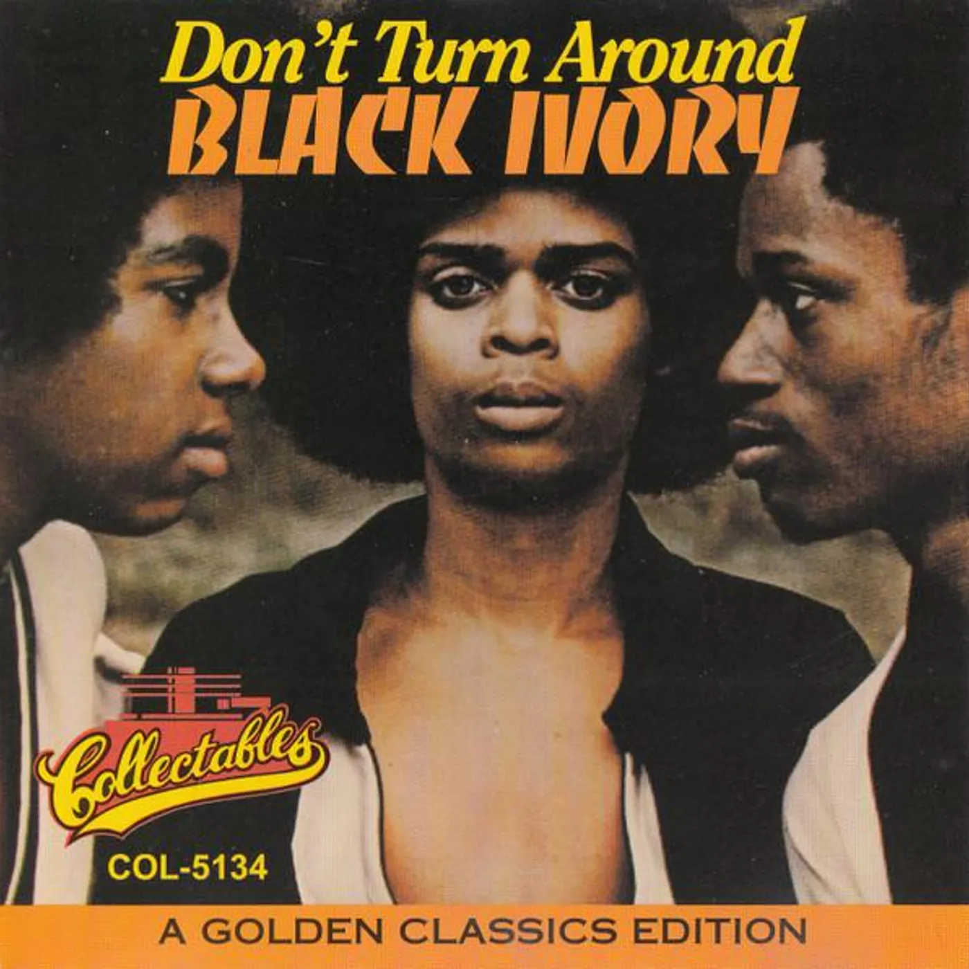 Black Ivory DON'T TURN AROUND CD