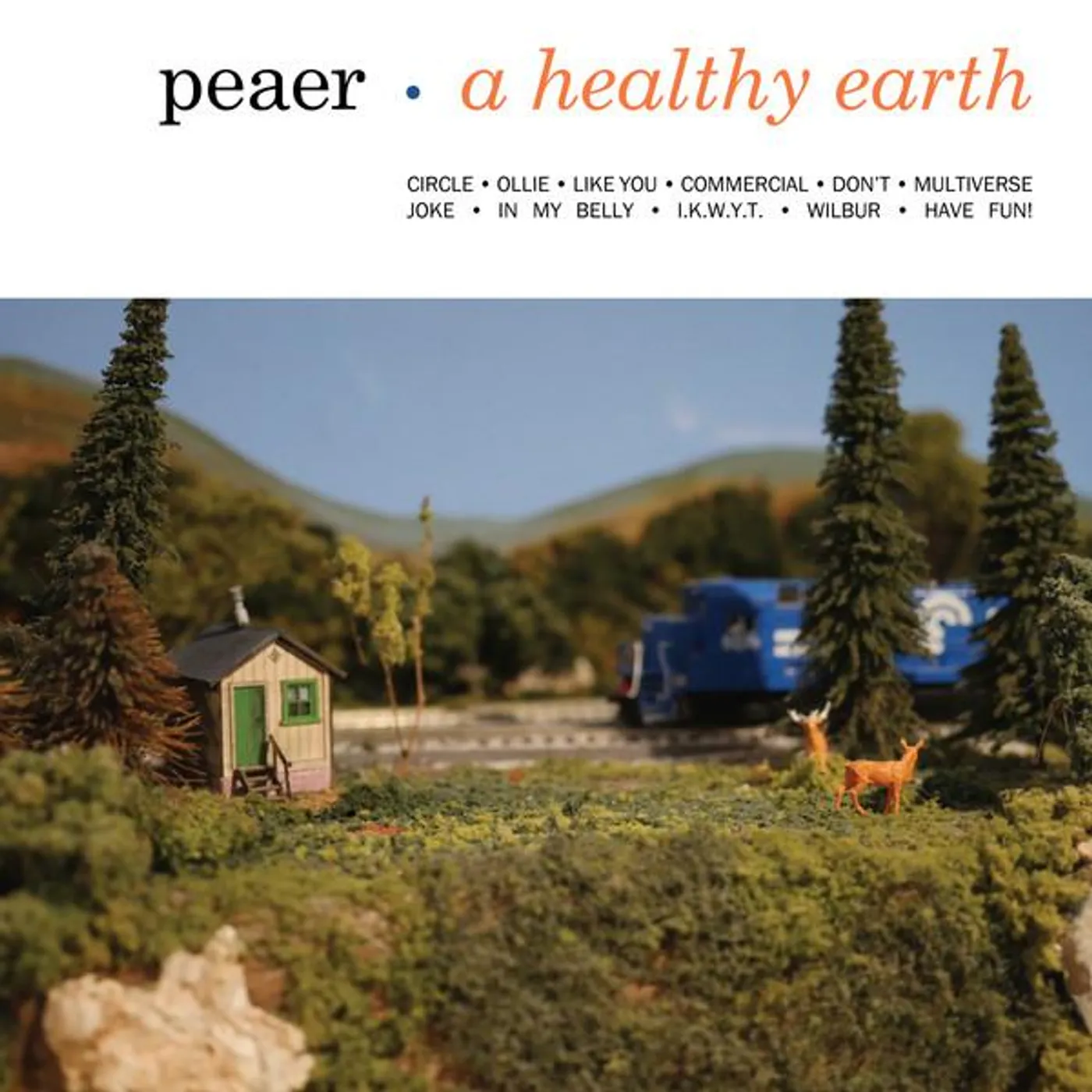 Peaer HEALTHY EARTH Vinyl Record