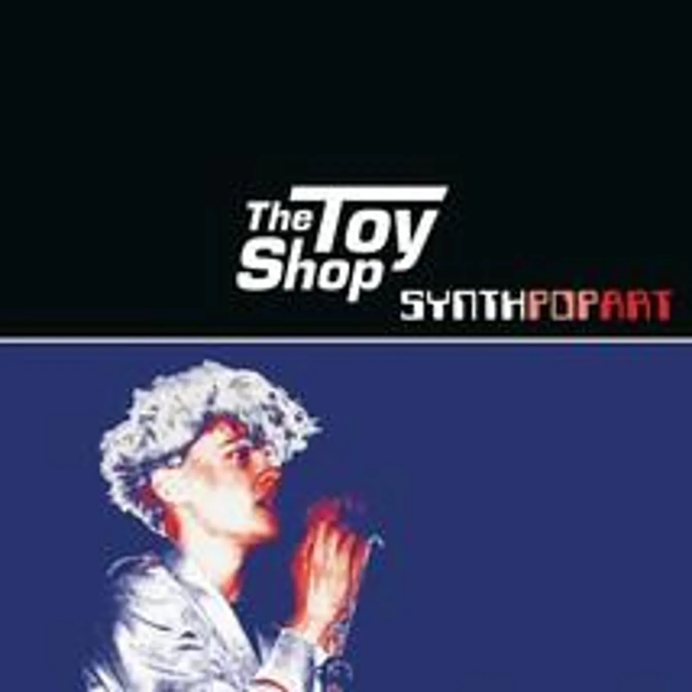 Toy Shop SYNTH POP ART Vinyl Record