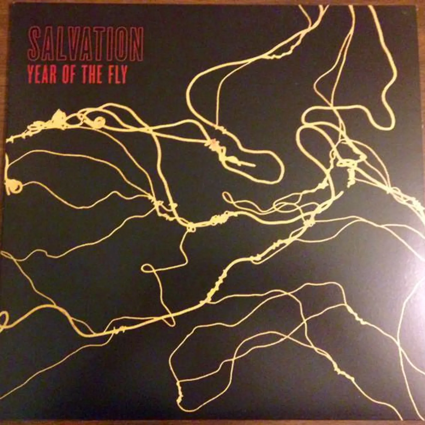 Salvation YEAR OF THE FLY CD