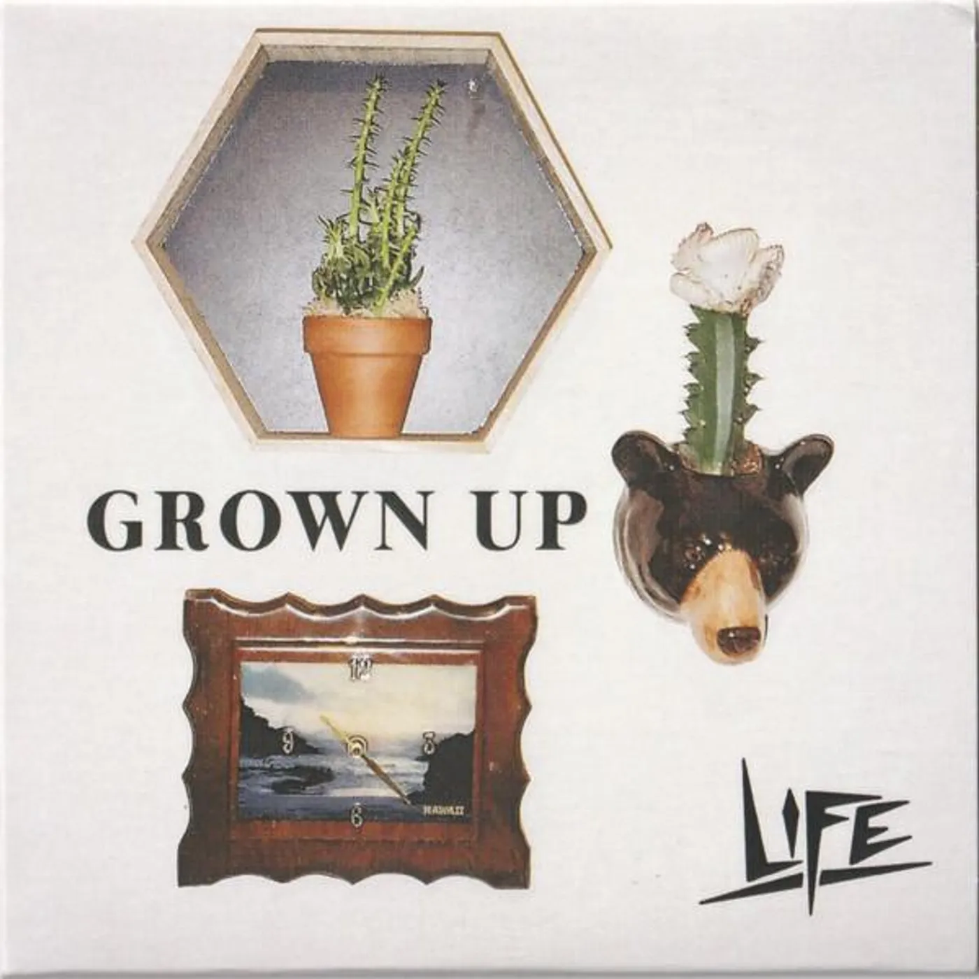 Life Grown Up Vinyl Record