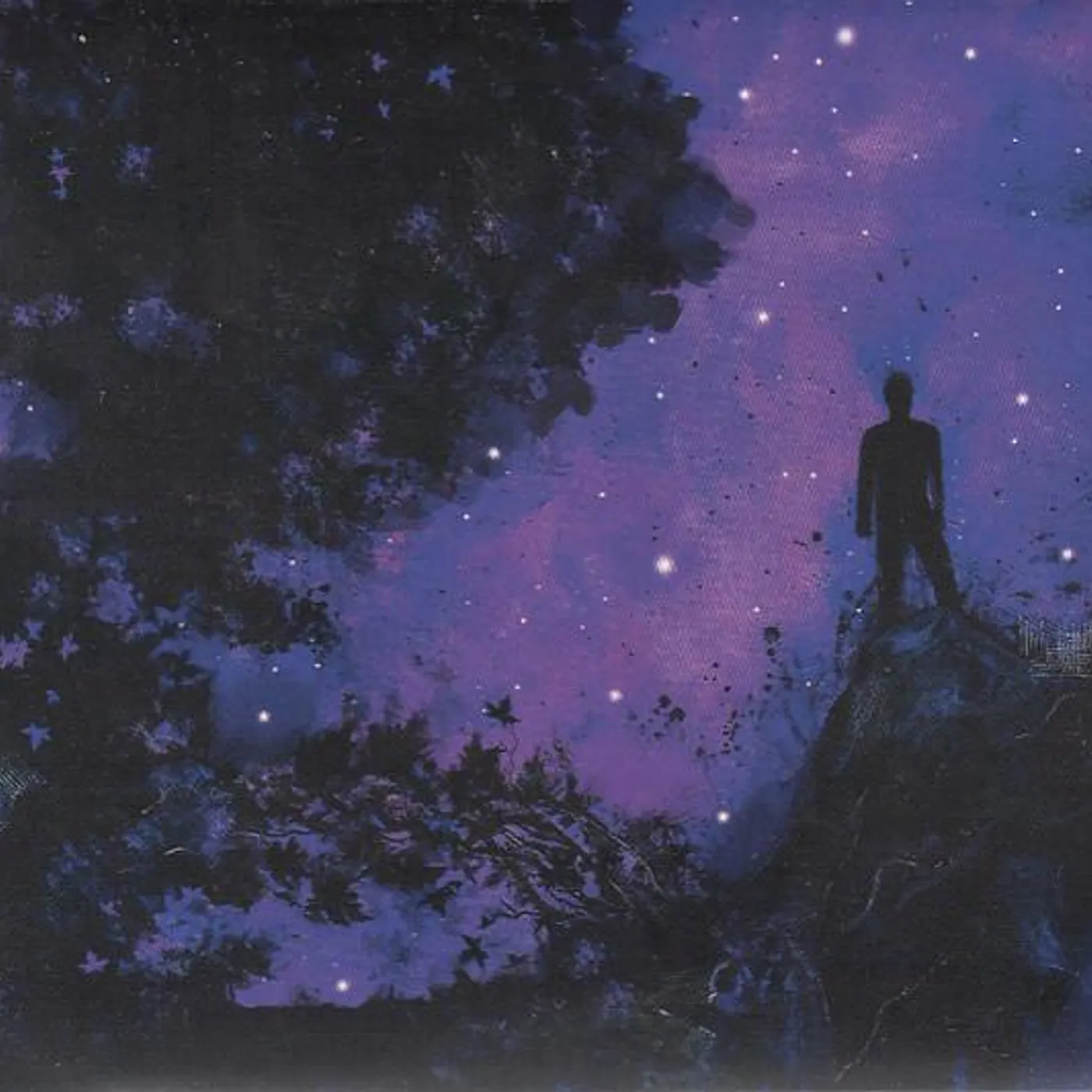 Unreqvited Mosaic II: La Deteste Et La Detresse Vinyl Record