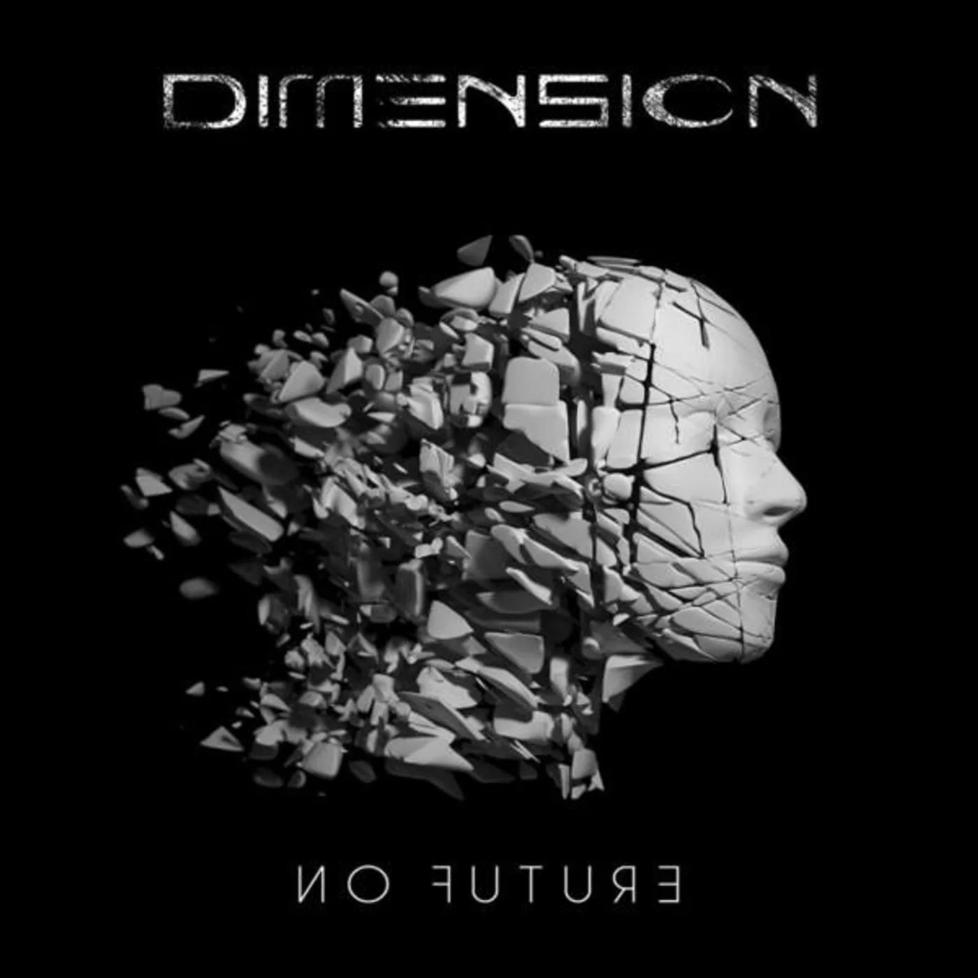 Dimension NO FUTURE CD