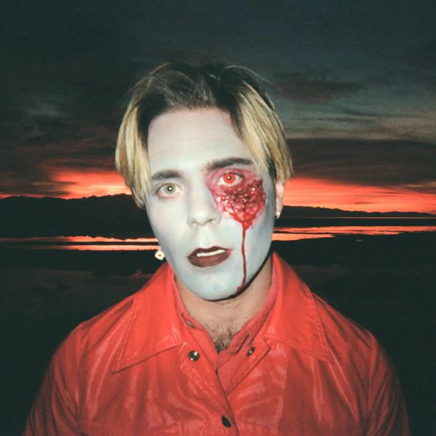 Choir Boy Gathering Swans Vinyl Record