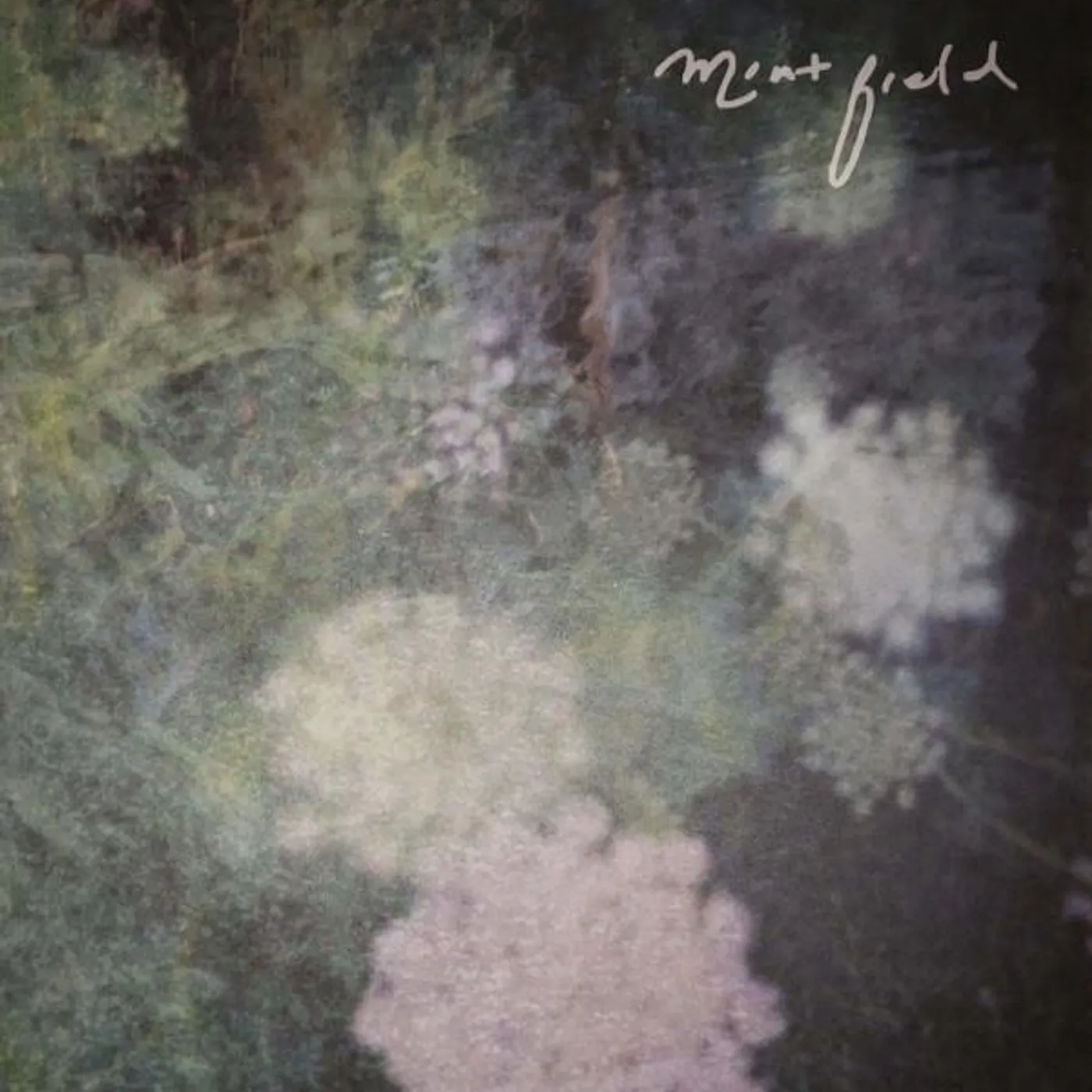 Mint Field Sentimiento Mundial Vinyl Record